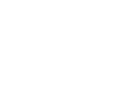 Bridge Global IT Solutions Logo